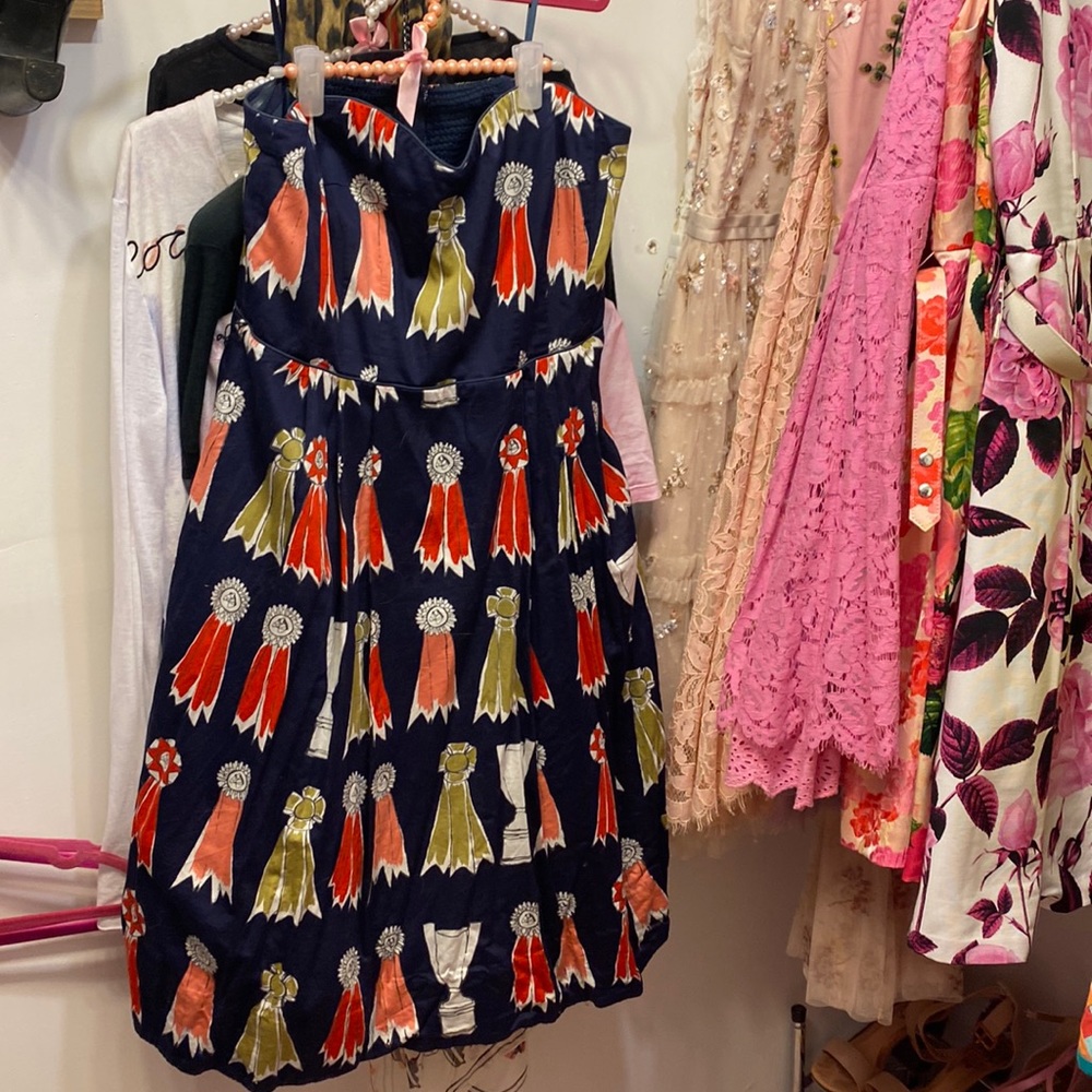 We love Vera Anthropologie dress ribbons awards 12